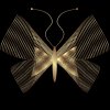 goldbutterfly.jpg